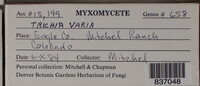 Image Associated With the Occurence